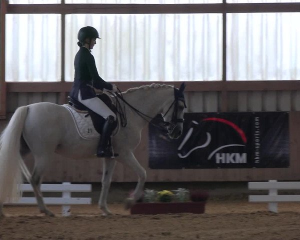 Reitturnier Werdohl-Rentrop 2023