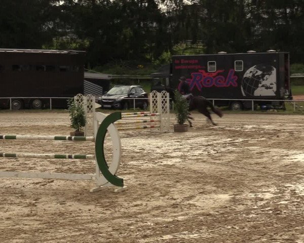 Reitturnier Heiligenwald 2023