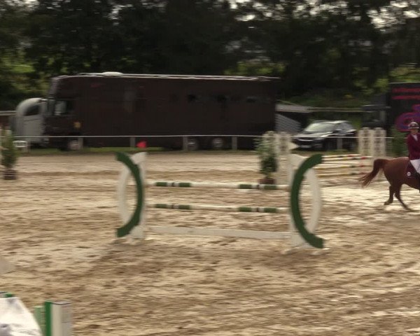 Reitturnier Heiligenwald 2023