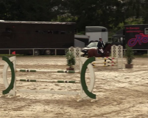 Reitturnier Heiligenwald 2023