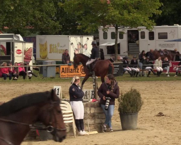 Reitturnier Heiligenwald 2023