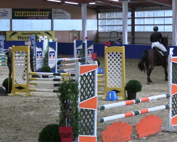 Reitturnier Isterberg 2023