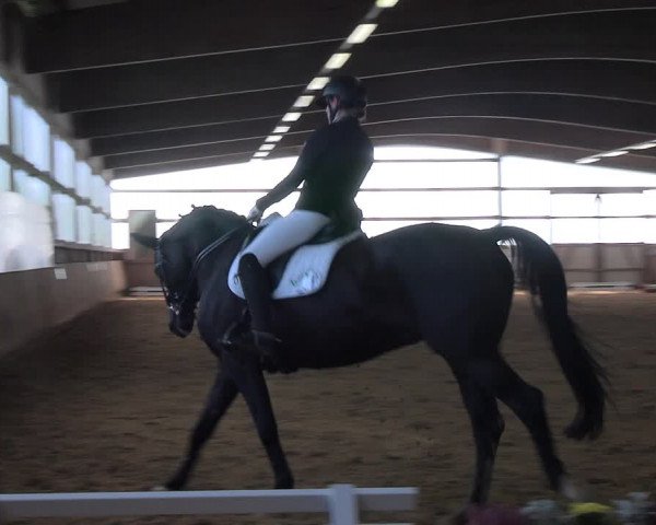 Reitturnier Werdohl-Rentrop 2023