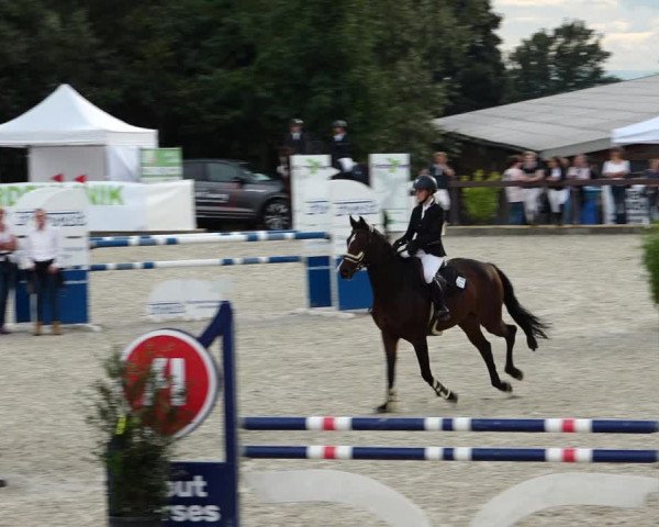Reitturnier Leichlingen-Witzhelden 2021