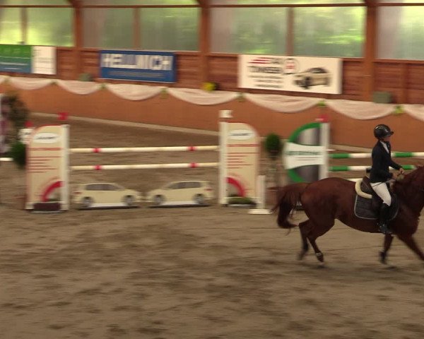 Reitturnier Xanten - Reitanlage Miss 2023