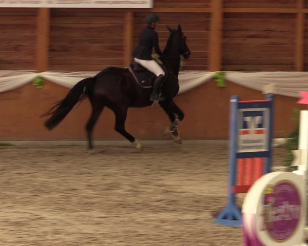 Reitturnier Xanten - Reitanlage Miss 2023