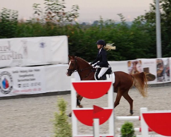 Reitturnier Leichlingen-Witzhelden 2021