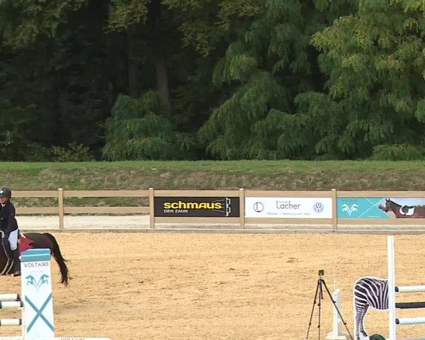 Reitturnier Tiefenhof/Opf. 2023