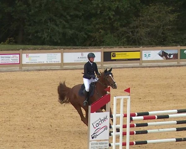 Reitturnier Tiefenhof/Opf. 2023