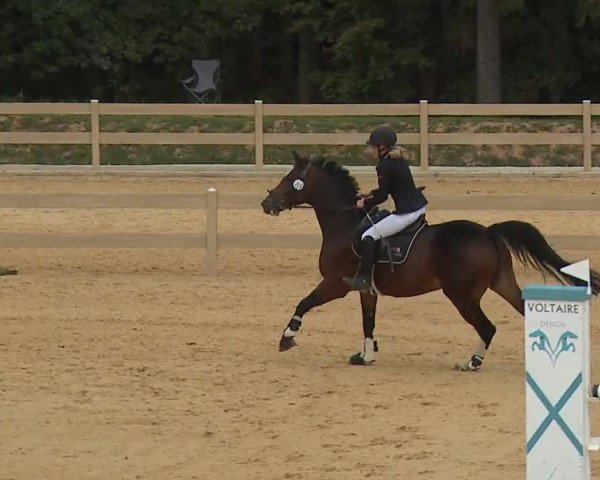 Reitturnier Tiefenhof/Opf. 2023