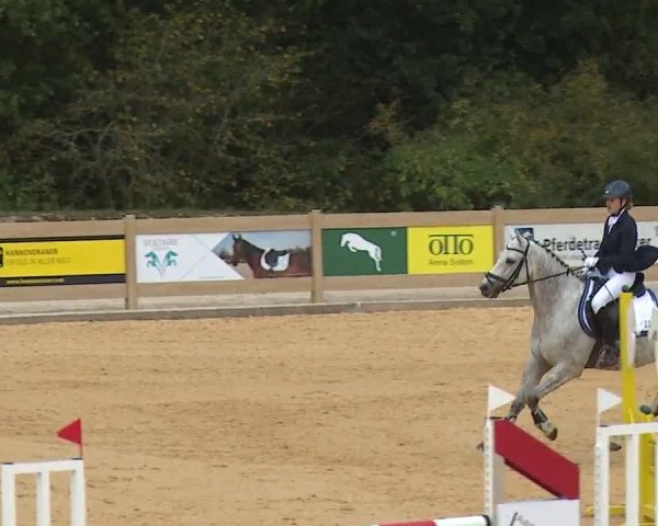 Reitturnier Tiefenhof/Opf. 2023