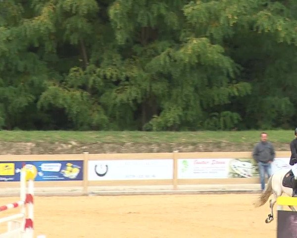 Reitturnier Tiefenhof/Opf. 2023