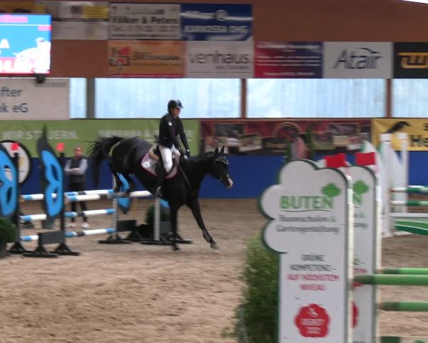 Reitturnier Isterberg 2023