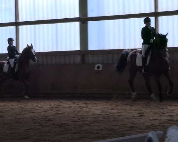Reitturnier Werdohl-Rentrop 2023