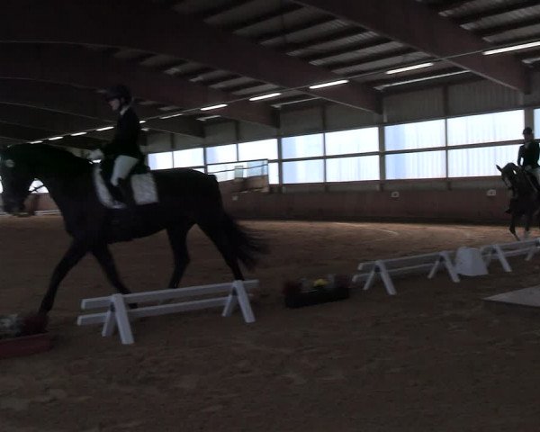 Reitturnier Werdohl-Rentrop 2023