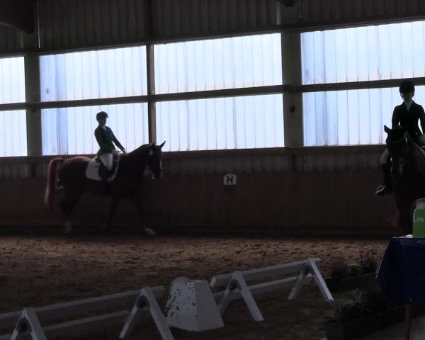 Reitturnier Werdohl-Rentrop 2023