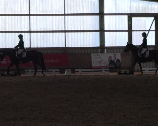 Reitturnier Werdohl-Rentrop 2023