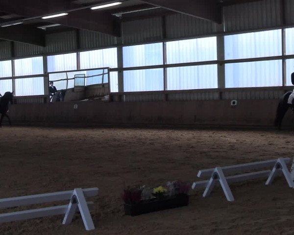 Reitturnier Werdohl-Rentrop 2023
