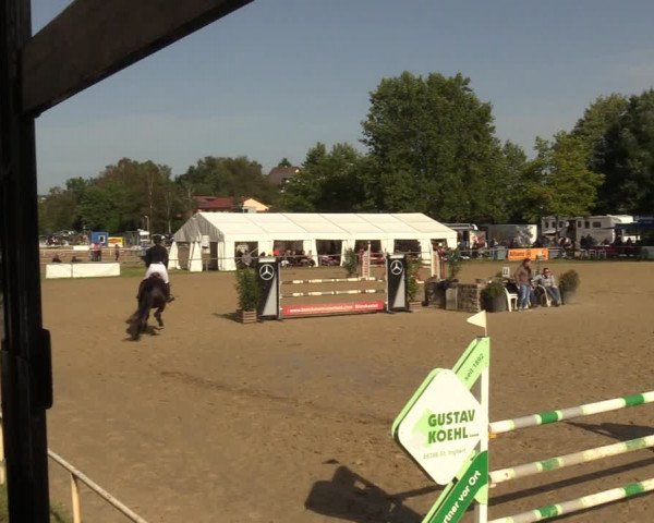 Reitturnier Heiligenwald 2023