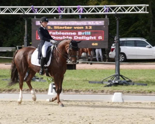 Reitturnier Heiligenwald 2023
