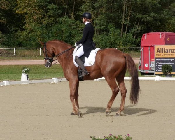 Reitturnier Heiligenwald 2023