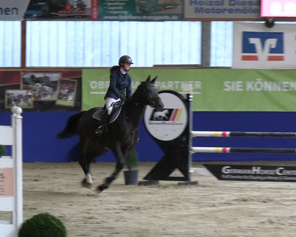 Reitturnier Isterberg 2023