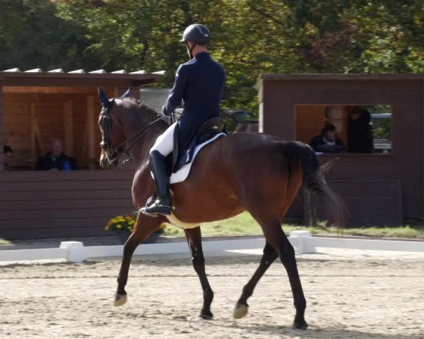 Reitturnier Heiligenwald 2023