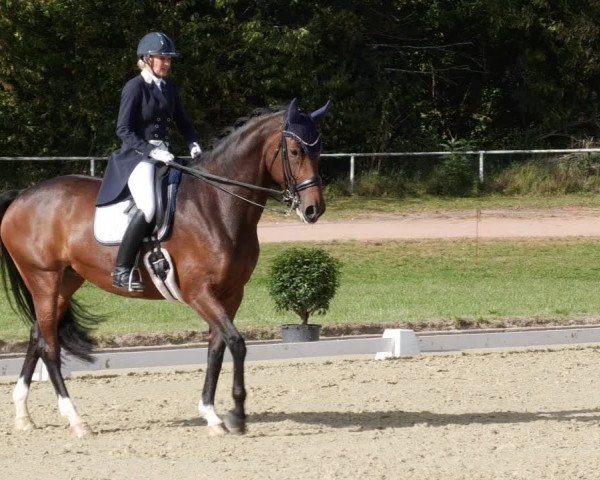 Reitturnier Heiligenwald 2023