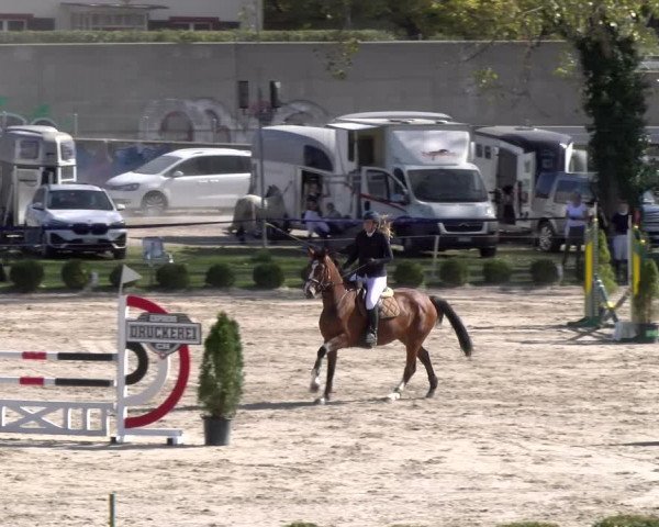 Reitturnier Basel 2023