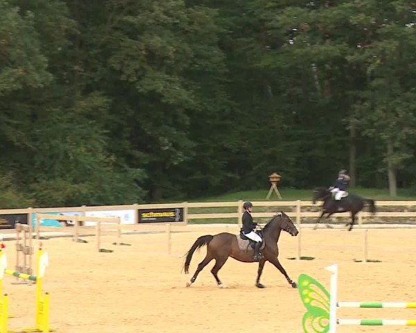 Reitturnier Tiefenhof/Opf. 2023