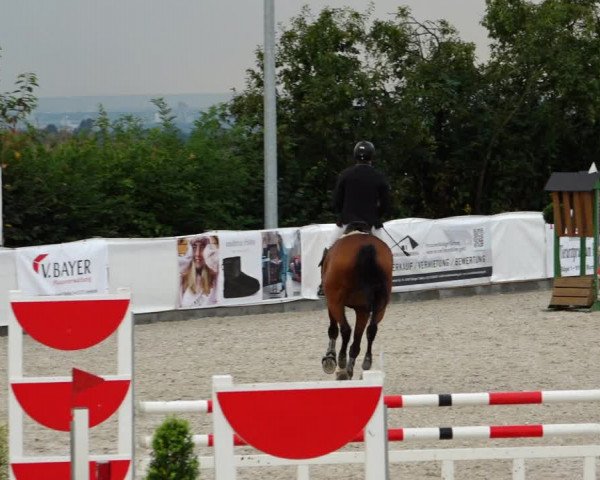 Reitturnier Leichlingen-Witzhelden 2021