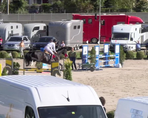 Reitturnier Basel 2023