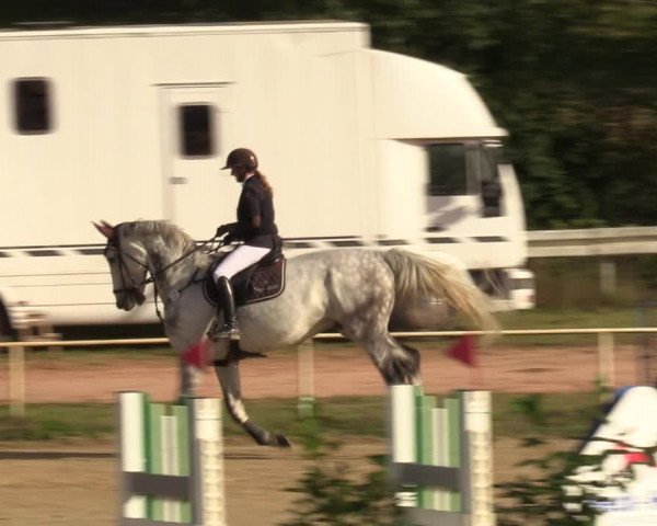 Reitturnier Heiligenwald 2023