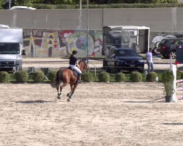Reitturnier Basel 2023