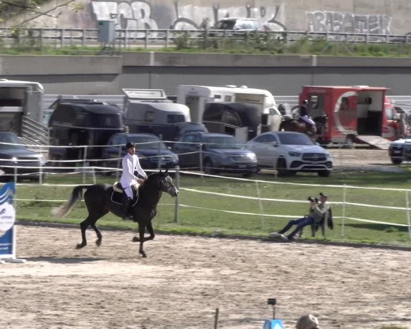 Reitturnier Basel 2023