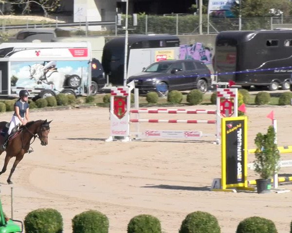 Reitturnier Basel 2023