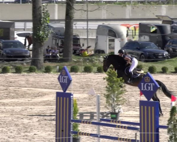 Reitturnier Basel 2023