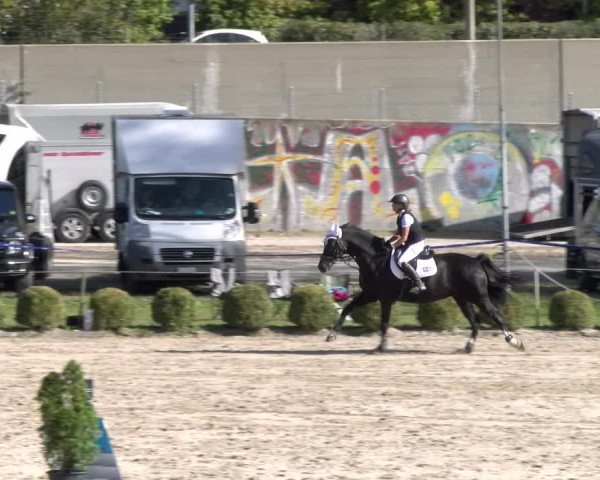 Reitturnier Basel 2023