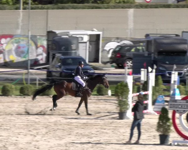 Reitturnier Basel 2023