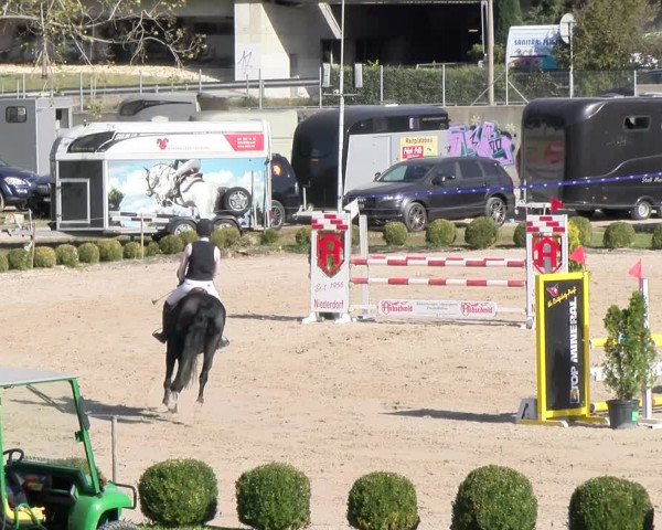 Reitturnier Basel 2023
