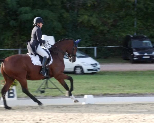 Reitturnier Heiligenwald 2023