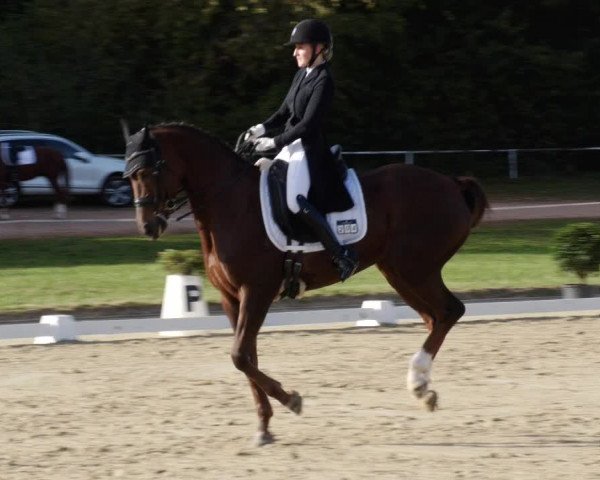 Reitturnier Heiligenwald 2023