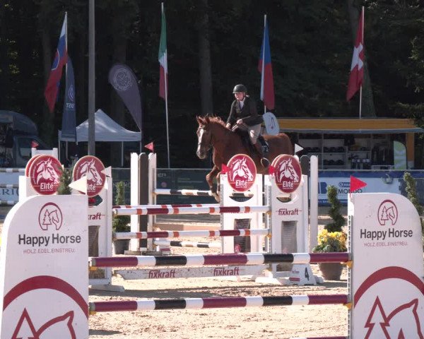 Reitturnier Ranshofen - Braunau am Inn 2023