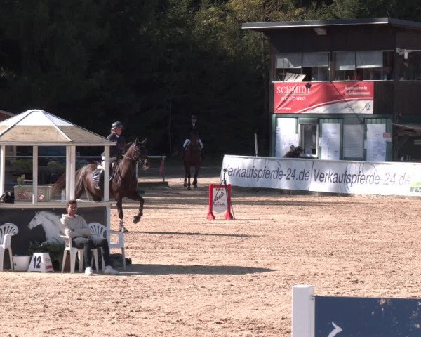 Reitturnier Ranshofen - Braunau am Inn 2023