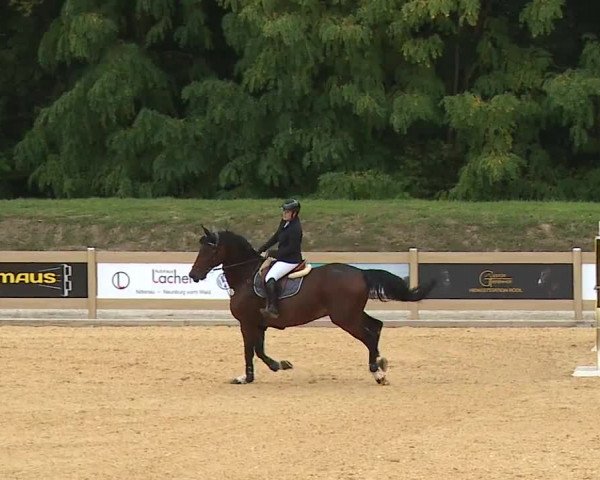 Reitturnier Tiefenhof/Opf. 2023
