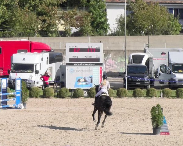 Reitturnier Basel 2023