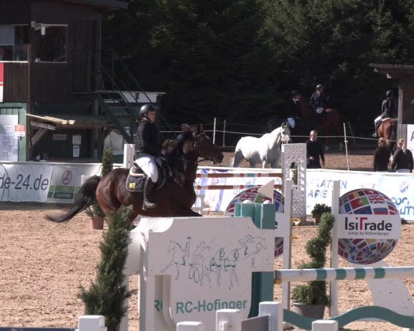 Reitturnier Ranshofen - Braunau am Inn 2023