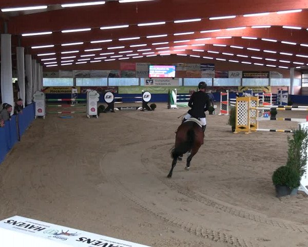 Reitturnier Isterberg 2023