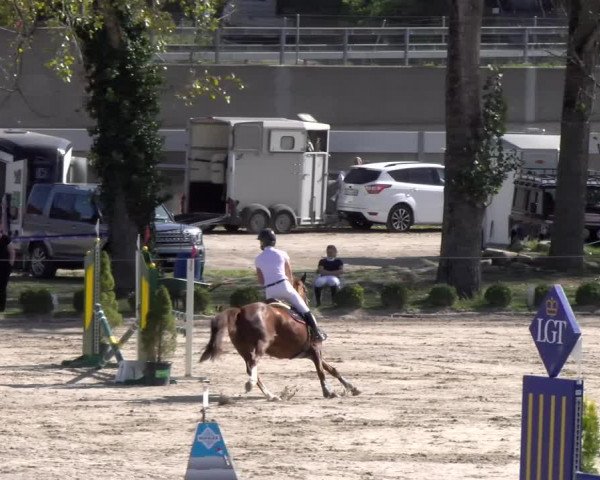 Reitturnier Basel 2023
