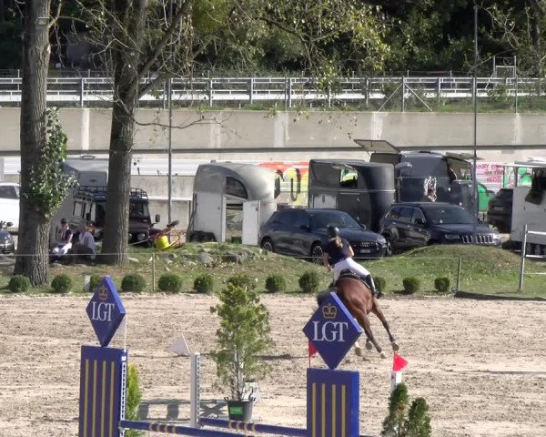 Reitturnier Basel 2023